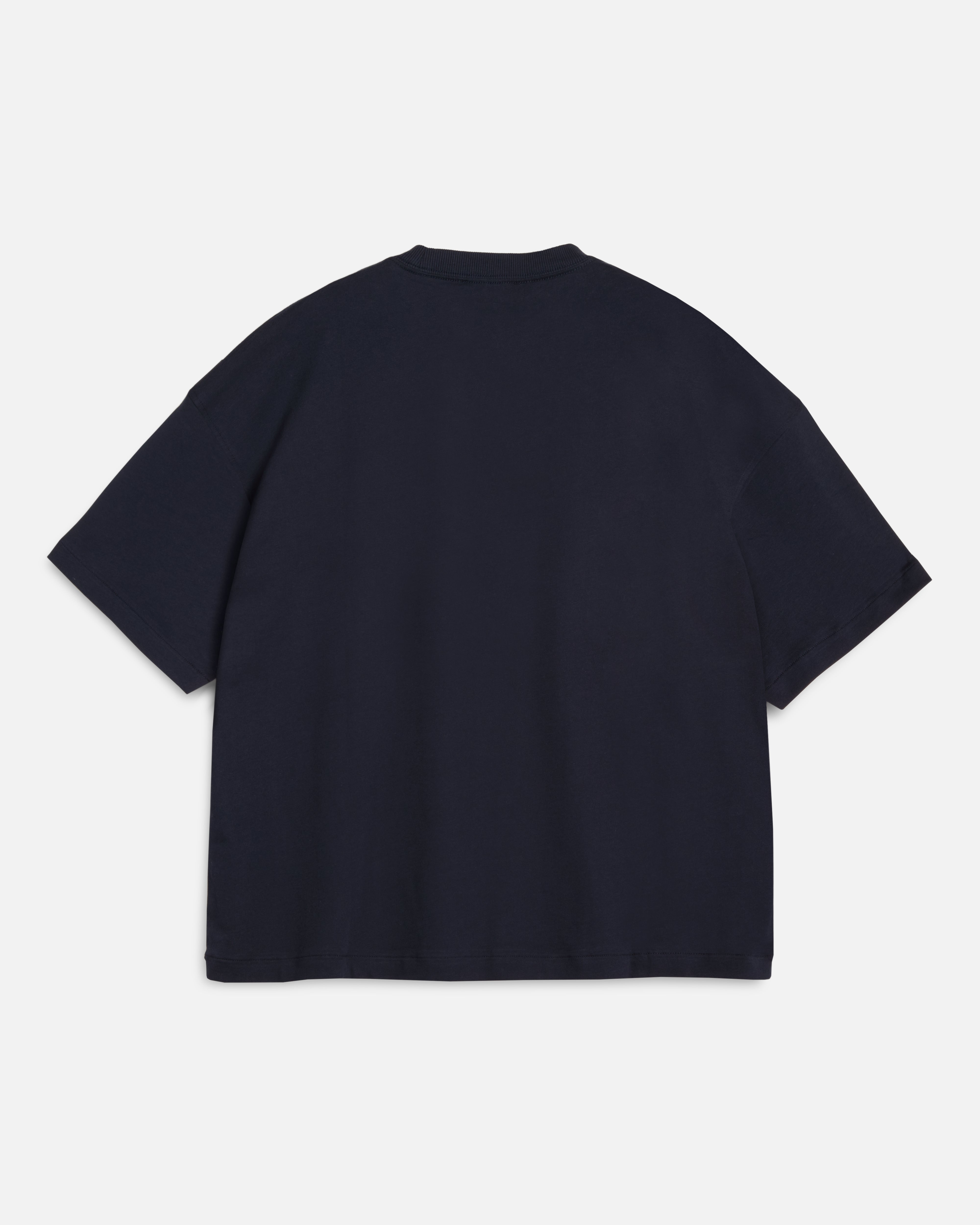 Earth Triple T-Shirt